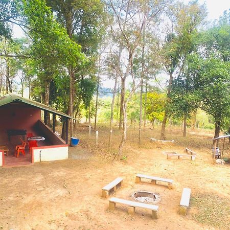 Shrenya Orchidz-Coorg Nature Stay Мадикери Екстериор снимка