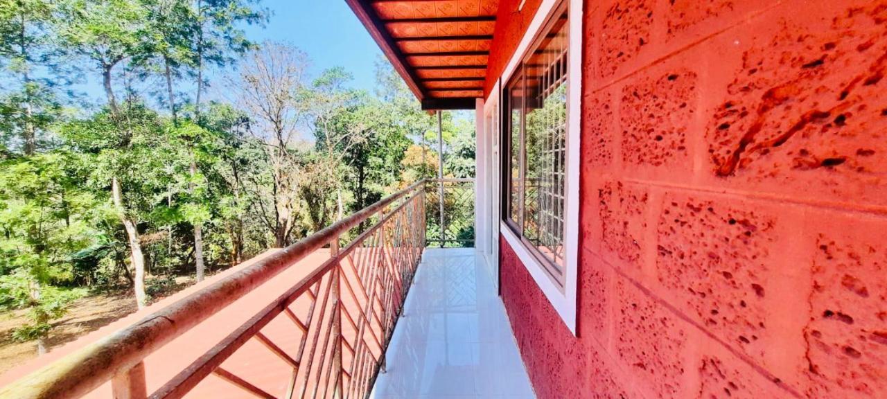 Shrenya Orchidz-Coorg Nature Stay Мадикери Екстериор снимка