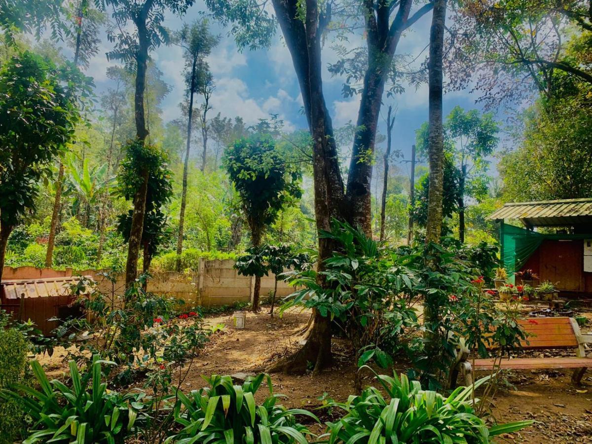 Shrenya Orchidz-Coorg Nature Stay Мадикери Екстериор снимка