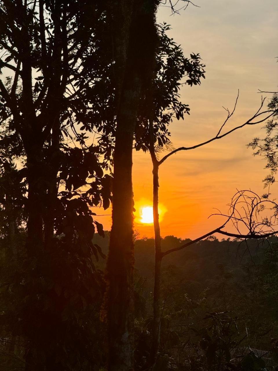 Shrenya Orchidz-Coorg Nature Stay Мадикери Екстериор снимка