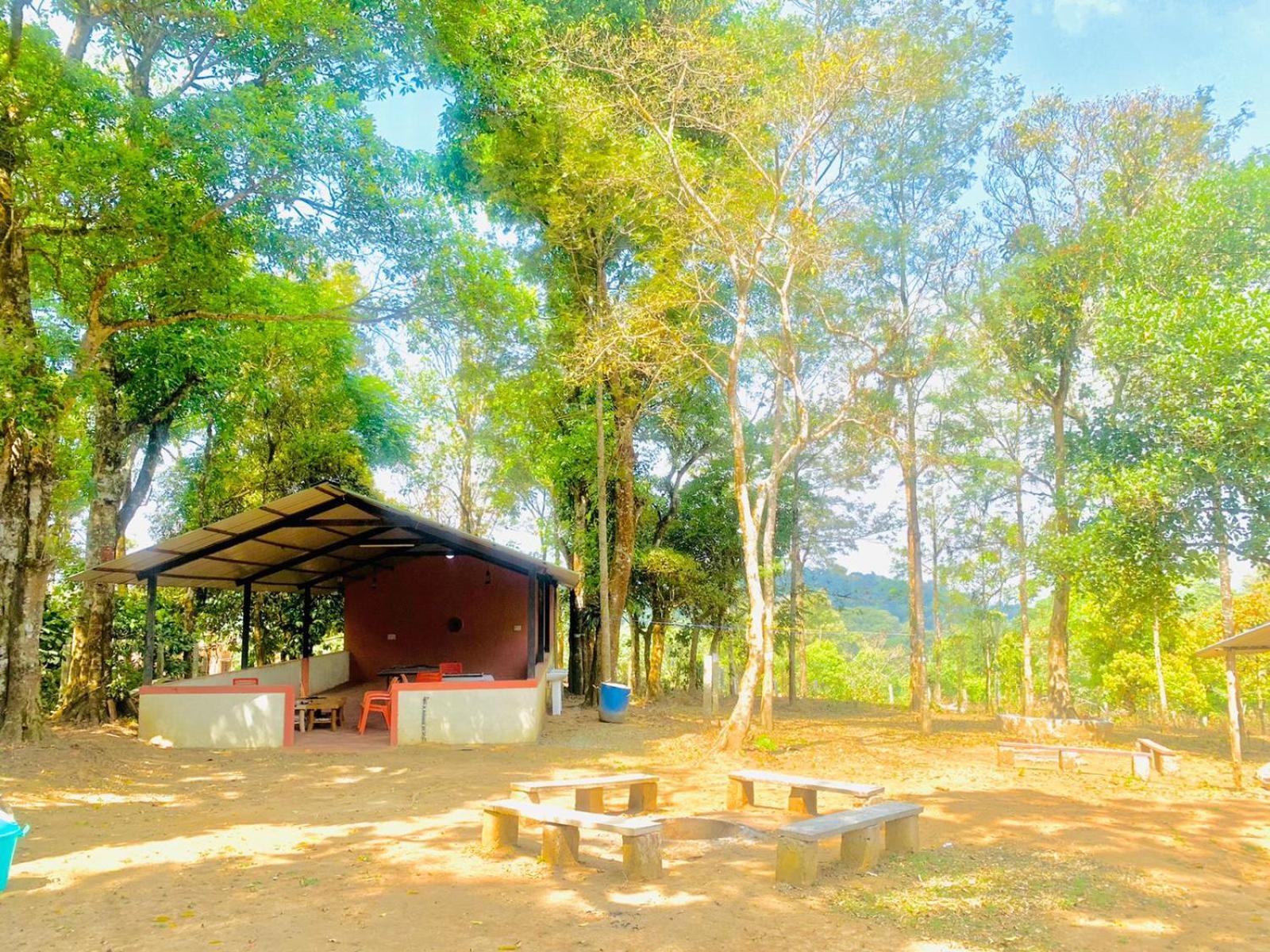 Shrenya Orchidz-Coorg Nature Stay Мадикери Екстериор снимка